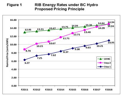 Pages from B-1_BCH-RIB-Application.png